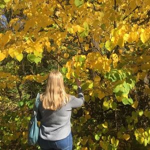 Meet your Posher, Lilli